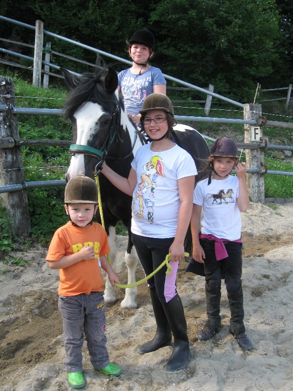 Kinder am Pferdehof Rauch - reiten im Waldviertel Kinder am Pferdehof Rauch - reiten im Waldviertel